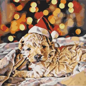 Wizardi Painting by Numbers Kit Little Santa 40×50 cm T40500310