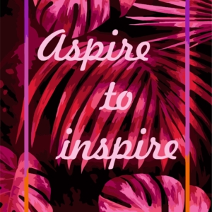 Painting by numbers kit. T002  Aspire to inspire 40*50